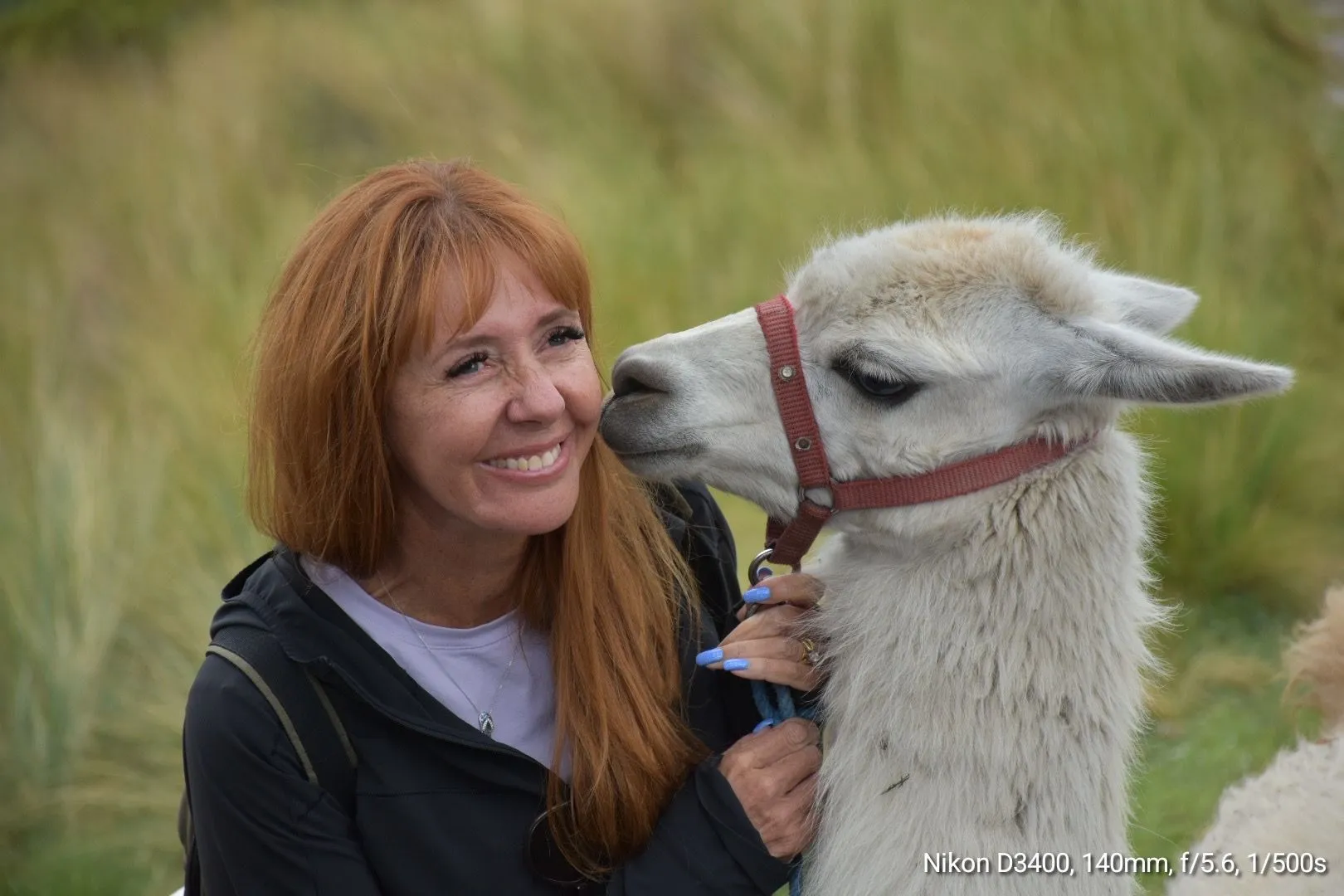 53020ADC DD77 4777 A9EC D7BFD7EB9DC8 L0 001