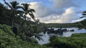 9FE260AE D79F 46FC 9B93 413A0D268D7C L0 001 300x169