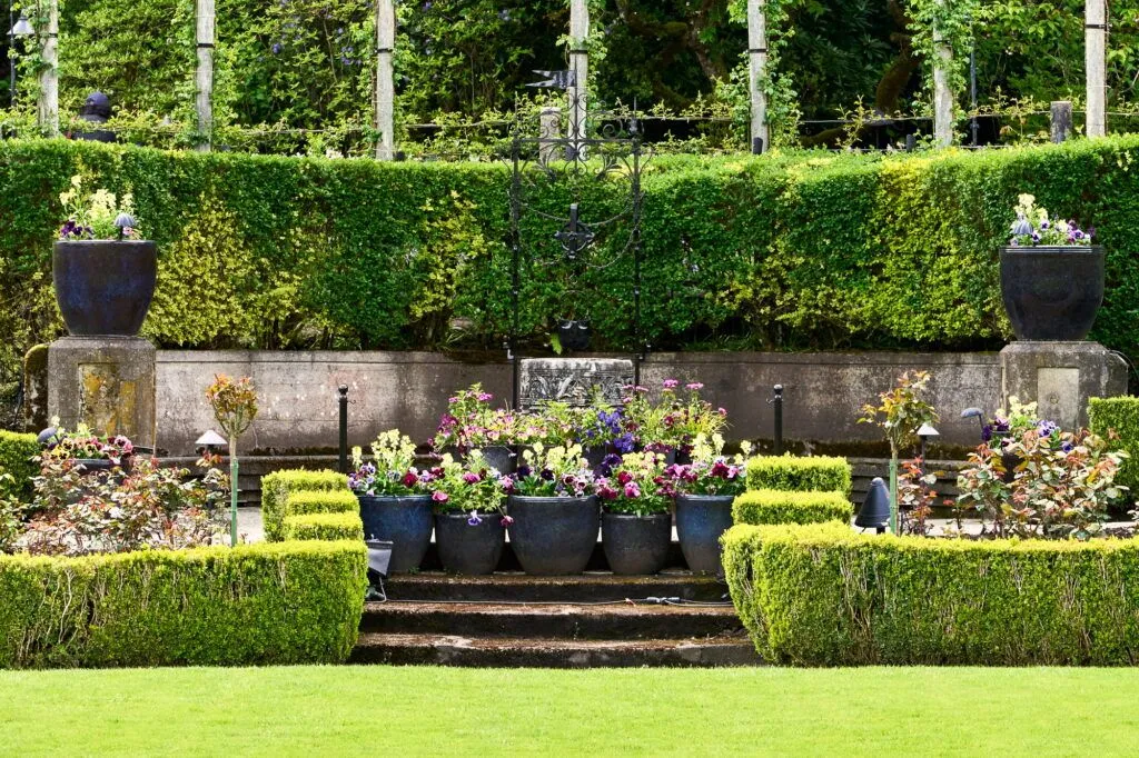 Why Butchart Gardens Is Worth Every Penny (and How to Plan Your Visit Right) Green lawn leading to cement steps and colorful spring tulips in large pots at Butchart Gardens.