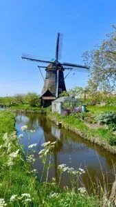 Windmill Holland 169x300