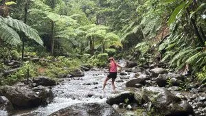 Woman crossing rocky forest stream