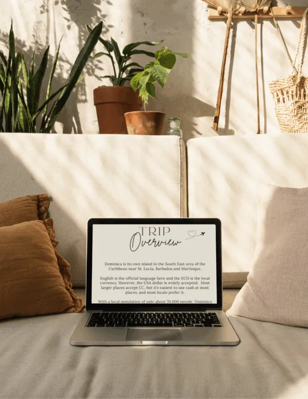 Laptop displaying trip overview text on a couch.