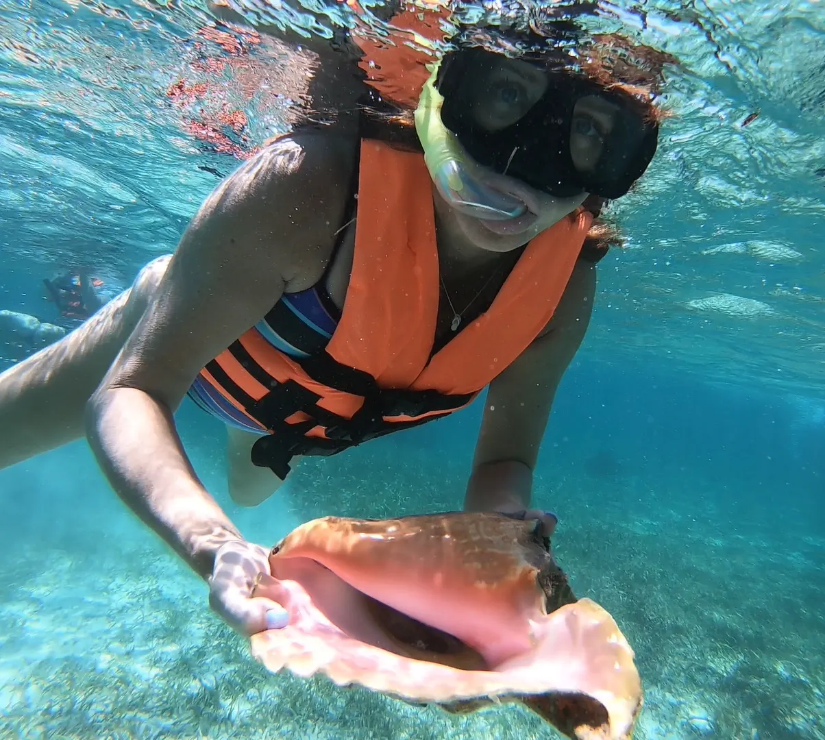 Snorkeler holding conch under clear water.